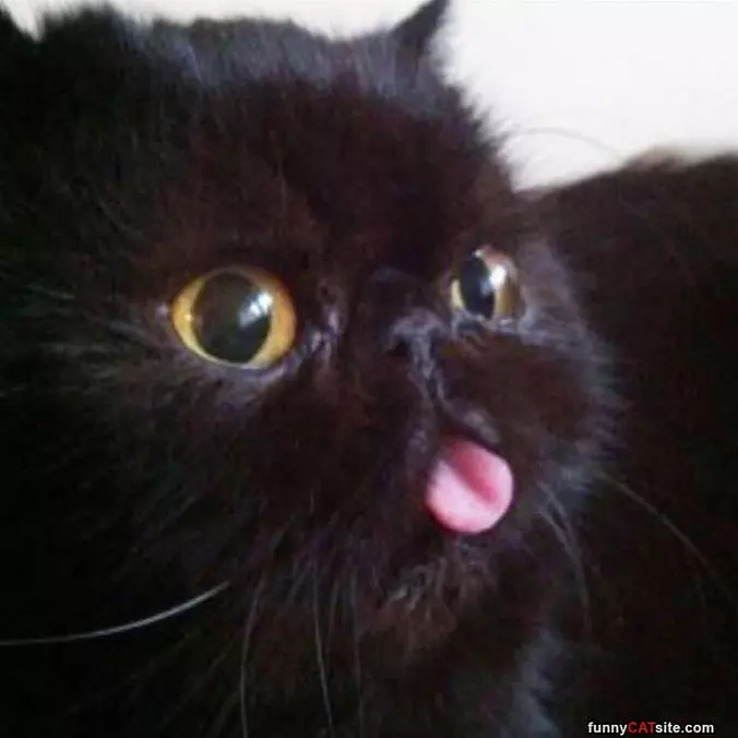 My Tongue Is Out