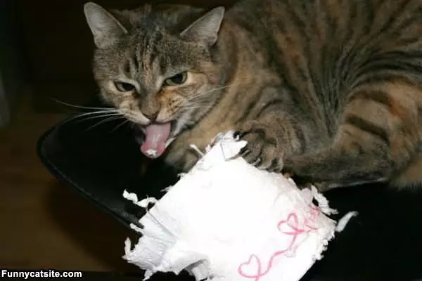 This Toilet Paper Is Gross
