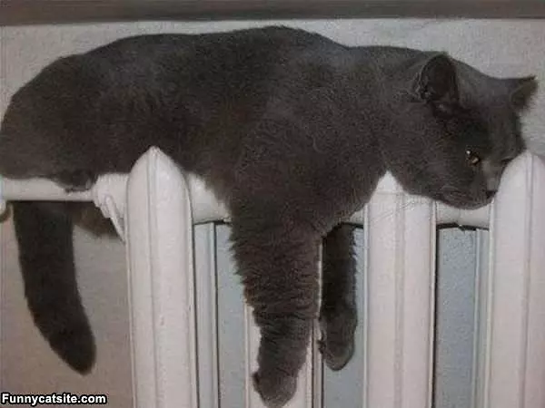This Has A Warm