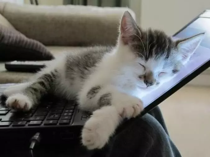 This Is Where I Want To Sleep