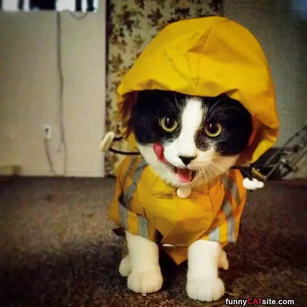 Ready For Rain