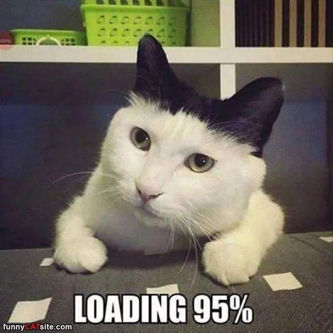 Almost Done Loading