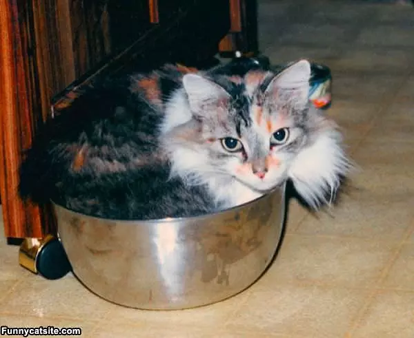 Pots And Pans