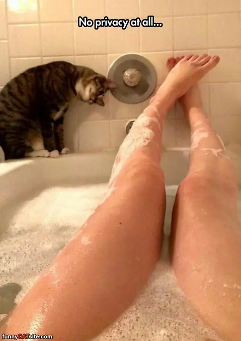 No Privacy