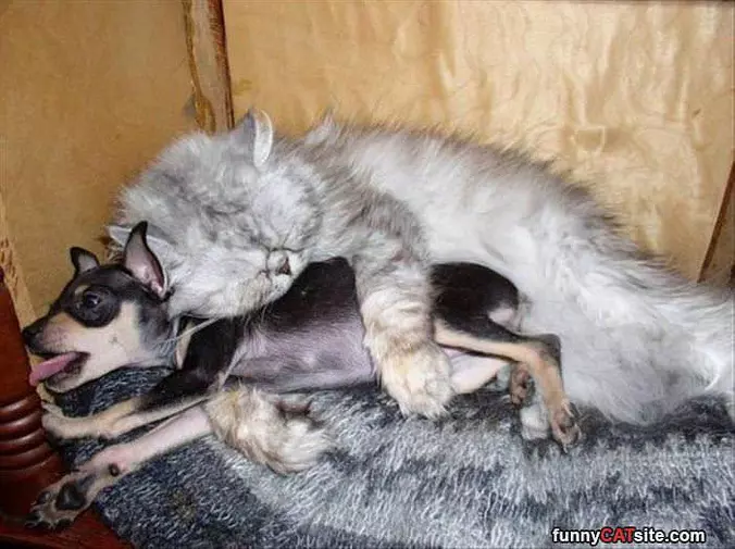 A Big Hug
