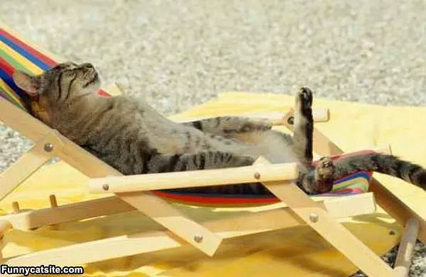 Getting A Good Tan