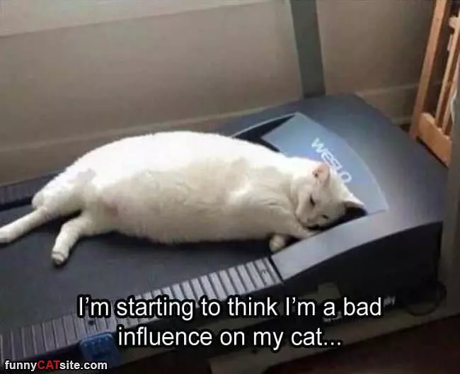 Bad Influence