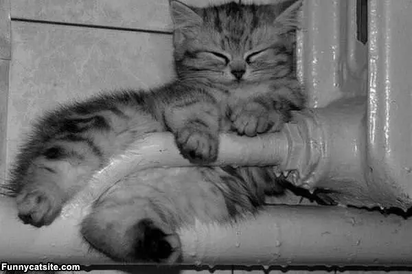 So Warm