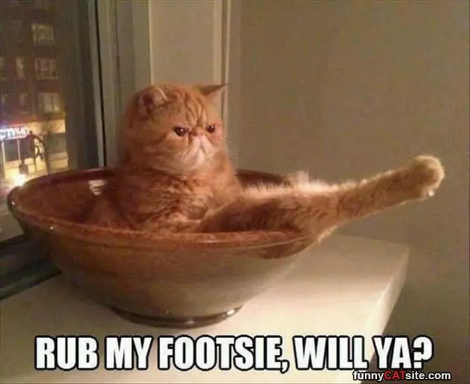 Can You Rub My Foot