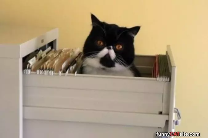 Doing Some Filing