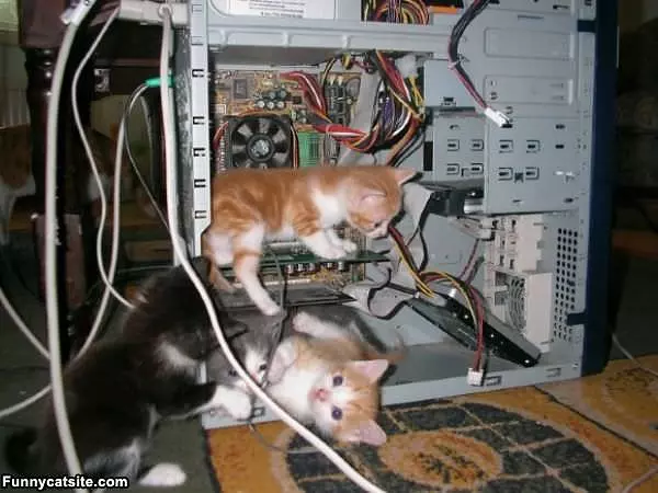 Computer Repair