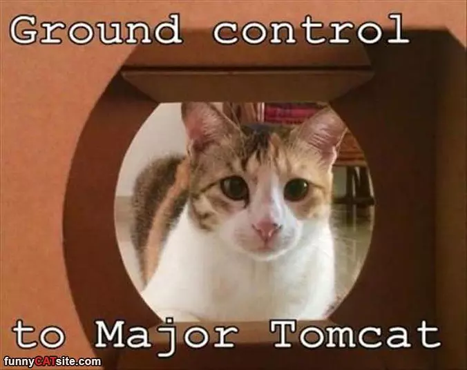 Ground Control