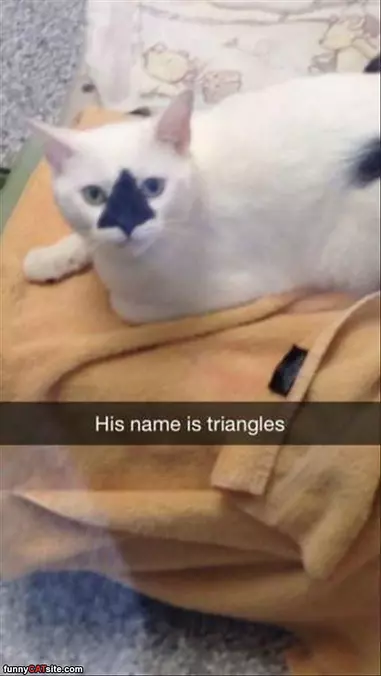 Triangles