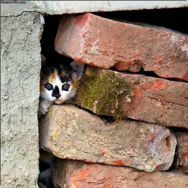 Peaking