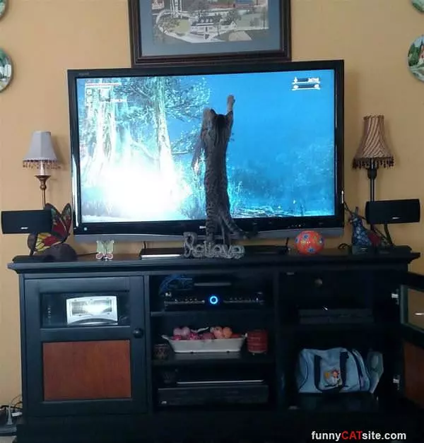 I Will Get You