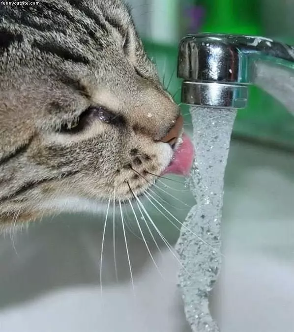 Drikning Water