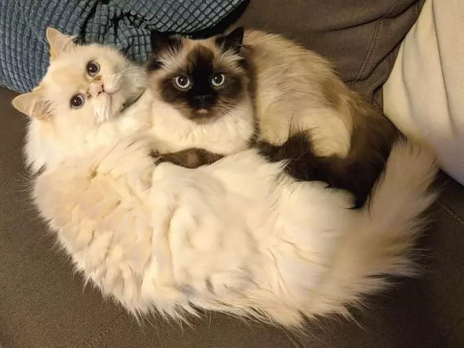 Curling Up