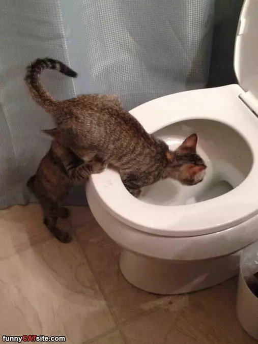 Let Me Help You In There