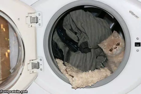 Put It On Fluff