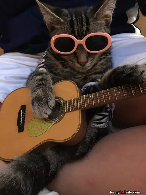 Jammin
