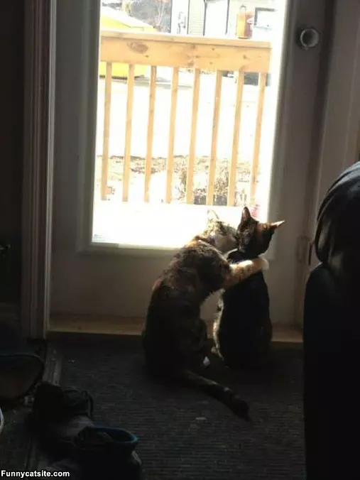 Give Me A Kiss