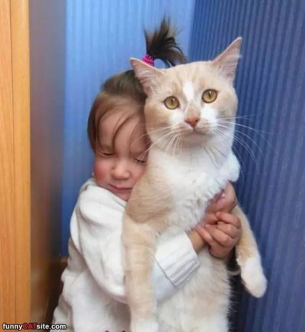 I Love You Kitty