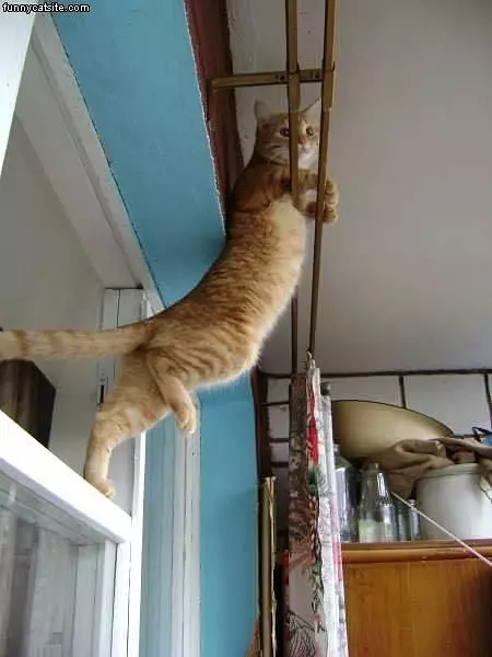 Im Climbing