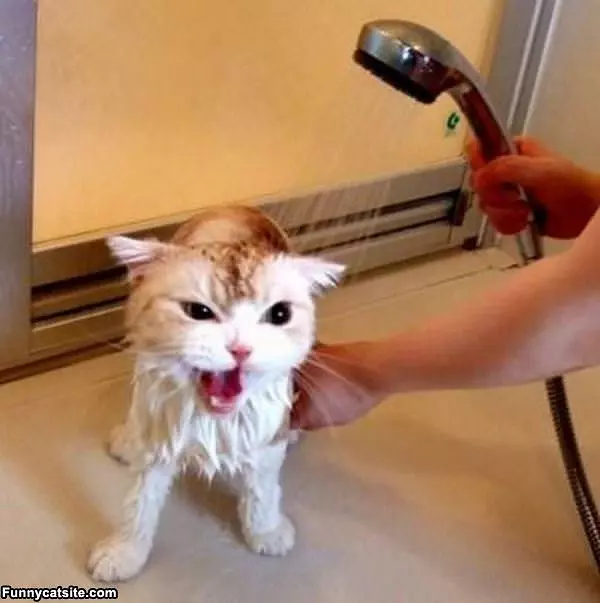 I Hate Baths