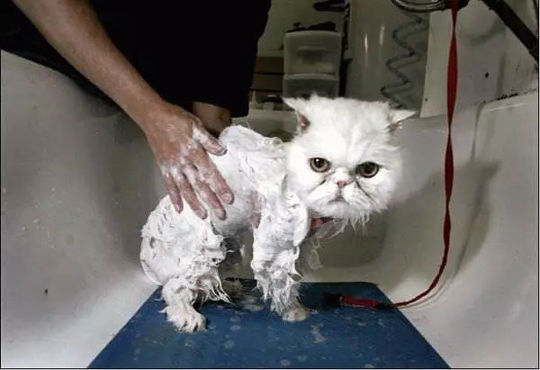 Dont Wash My Face