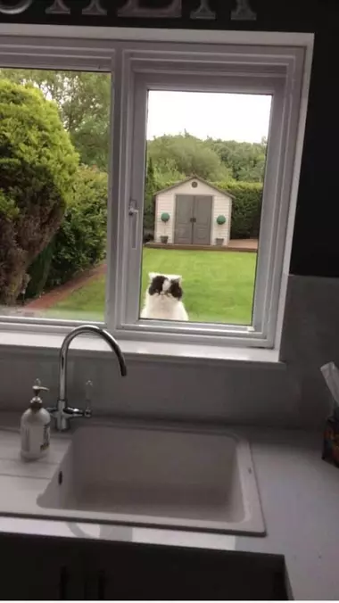 On The Outside Looking In