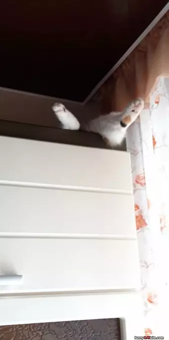 Feet Out