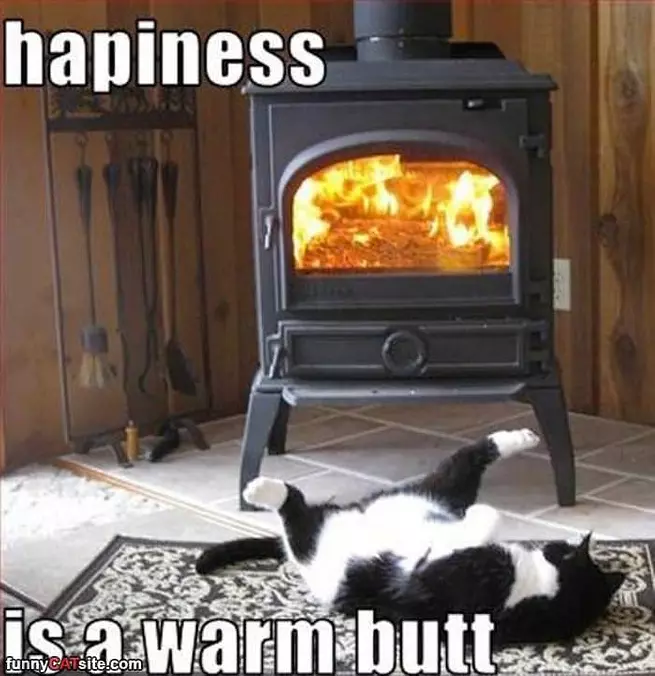Hapiness