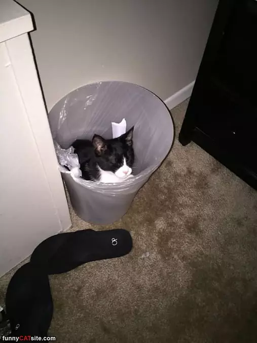This Spot Is Fine For Me