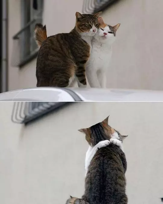 Give Me A Big Hug