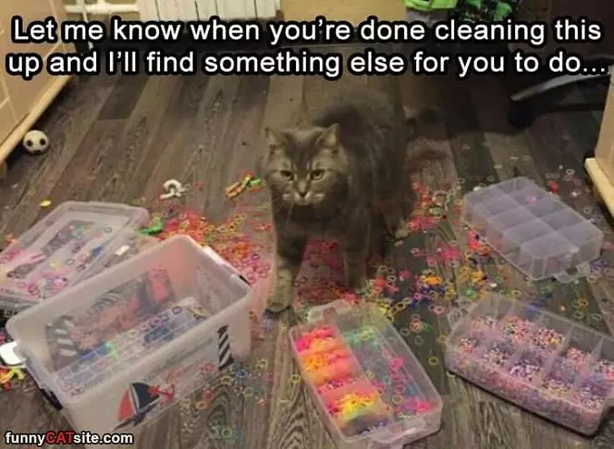 Let Me Know When You Are Done