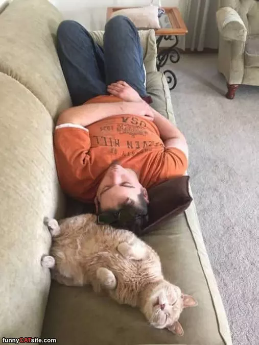 How We Nap Together