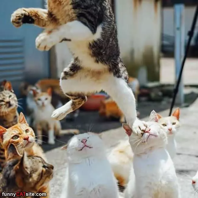 Hold Me Up Here