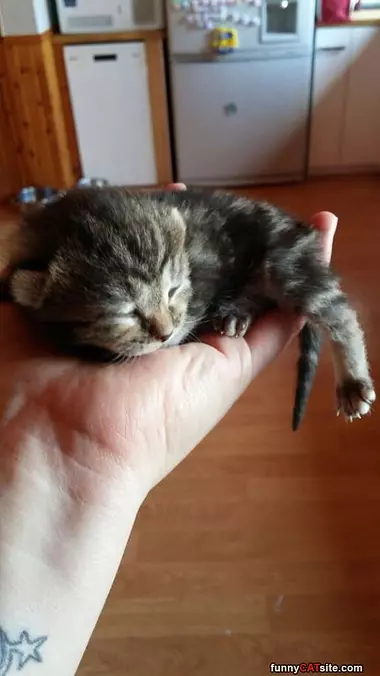 Only A Handful