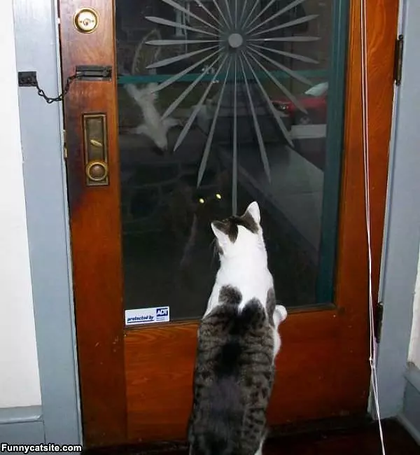 Ayhhh Let Me Out