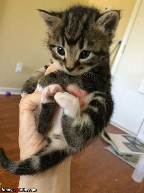 One In The Hand
