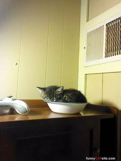 Found A Comfy Spot