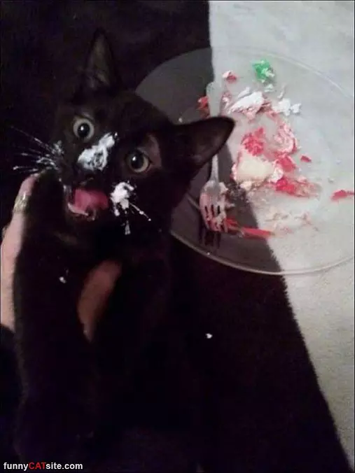 Eating Some Cake