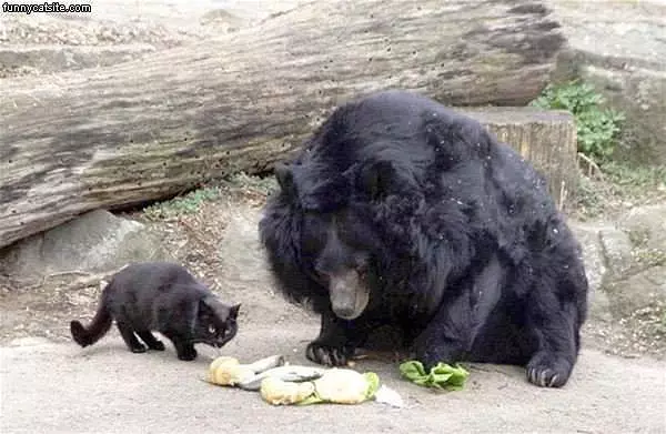 Sharing