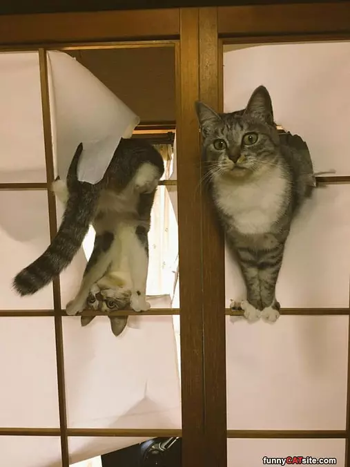 Just Relaxing