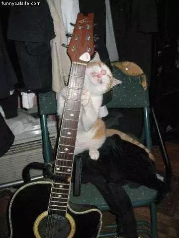 Music Appreciation