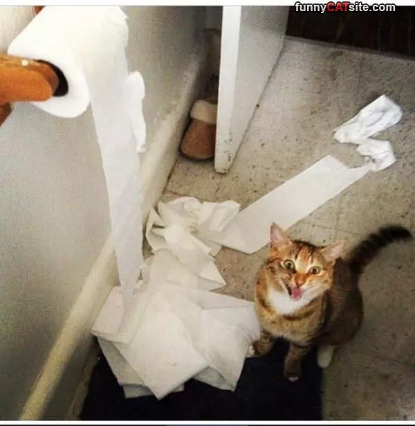 I Need Some Paper