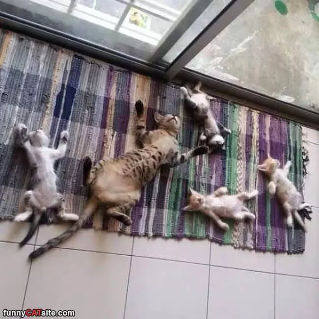 We Are All So Relaxed