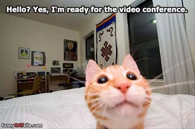 Yes I Am Ready