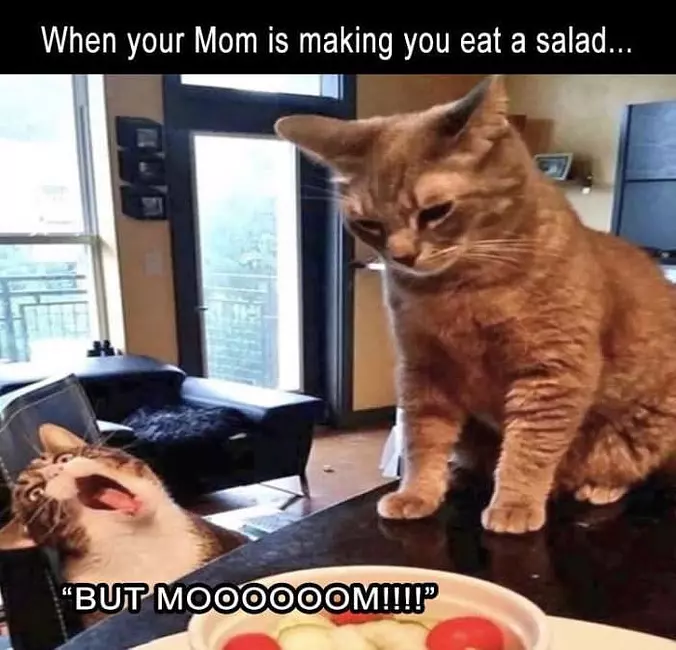 Bu Moooom