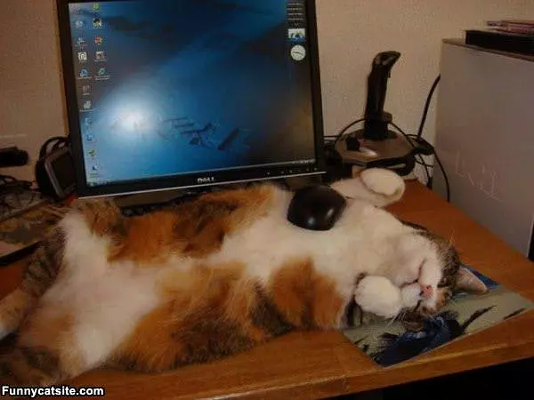 Im A Mouse Pad